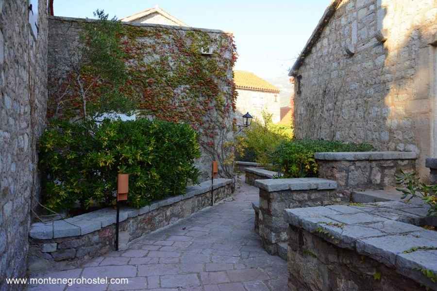 The Rosemary line in St. Stefan