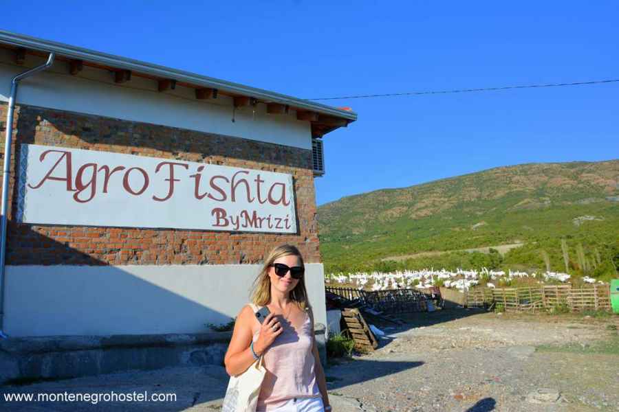 Mrizi and Zanave food production