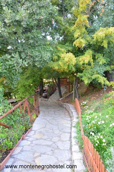 terrace for dining in the park