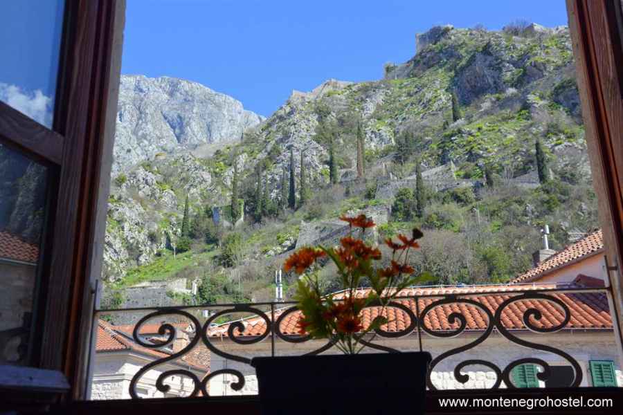 view from common room