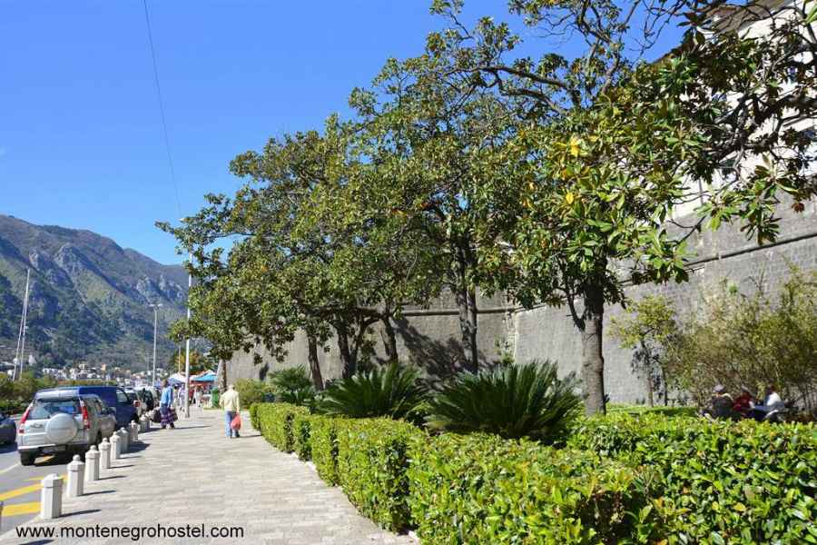 the main street to the old town