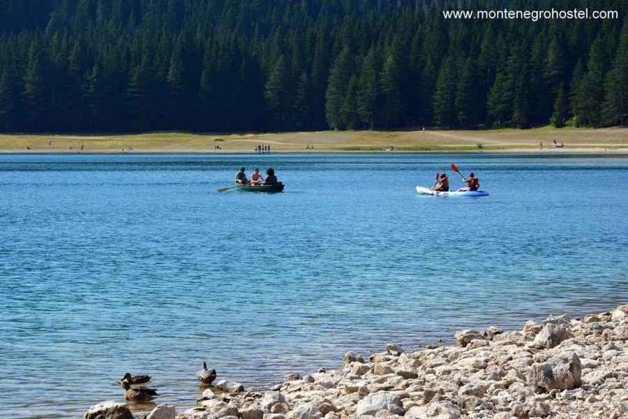 Black Lake-Durmitor