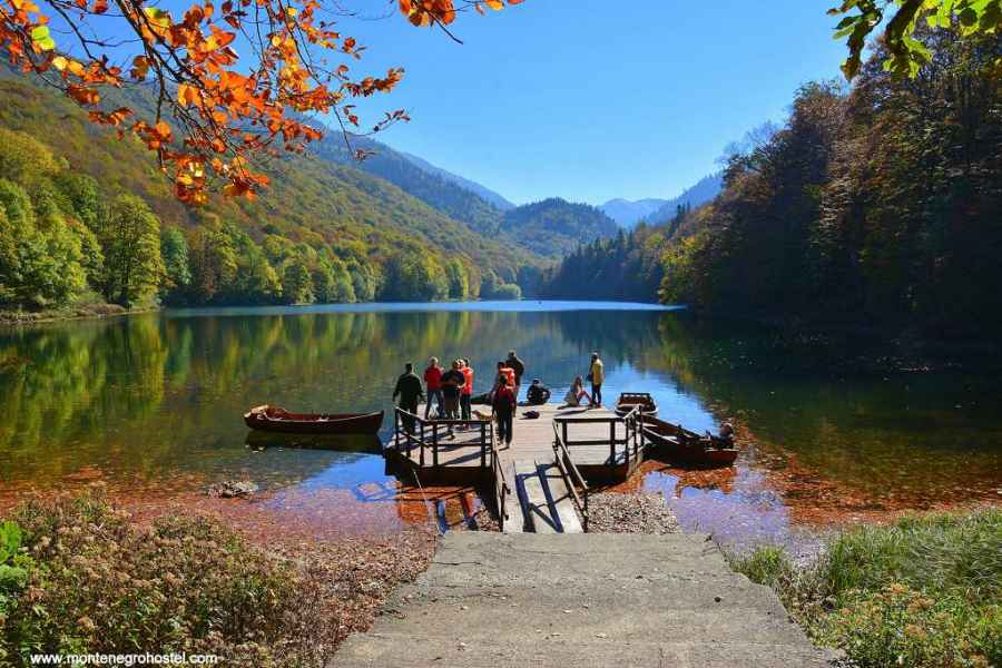 Visit Biogradska Gora With MH Travel
