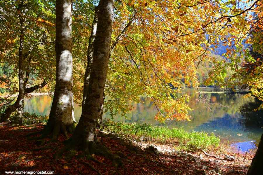 Biogradska Gora National Park