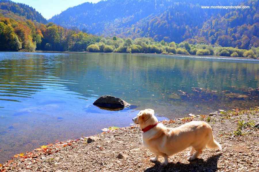 Biogradsko Lake in Biogradska Gora