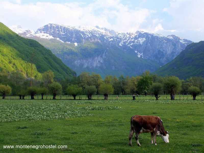 Grebaja Valley in Prokletije