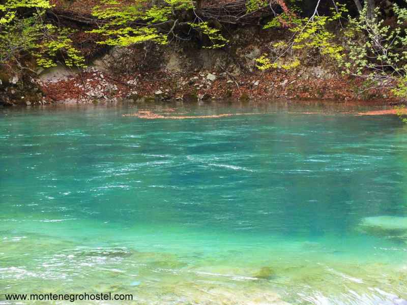 The spring "Savino oko"