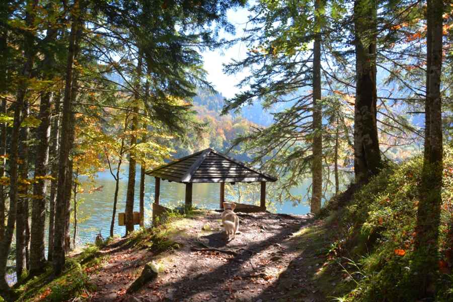 m Biogradska Gora National Park JPG