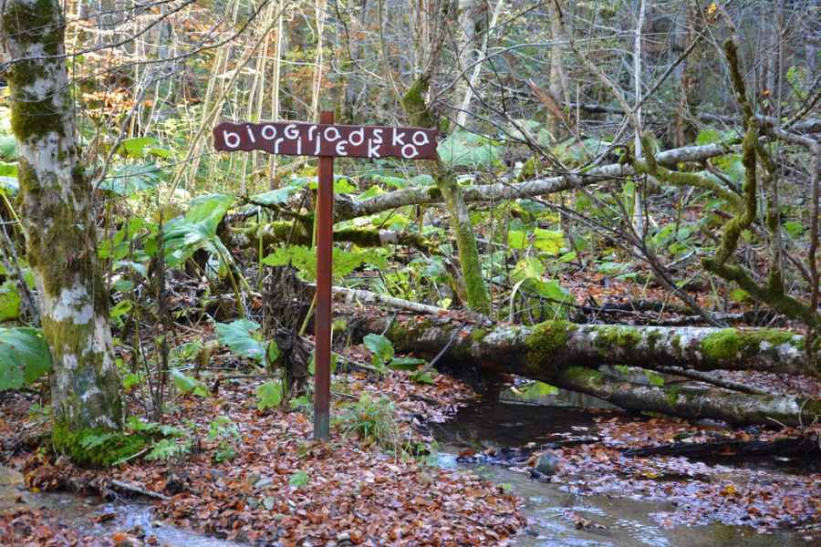 m Biogradska River JPG