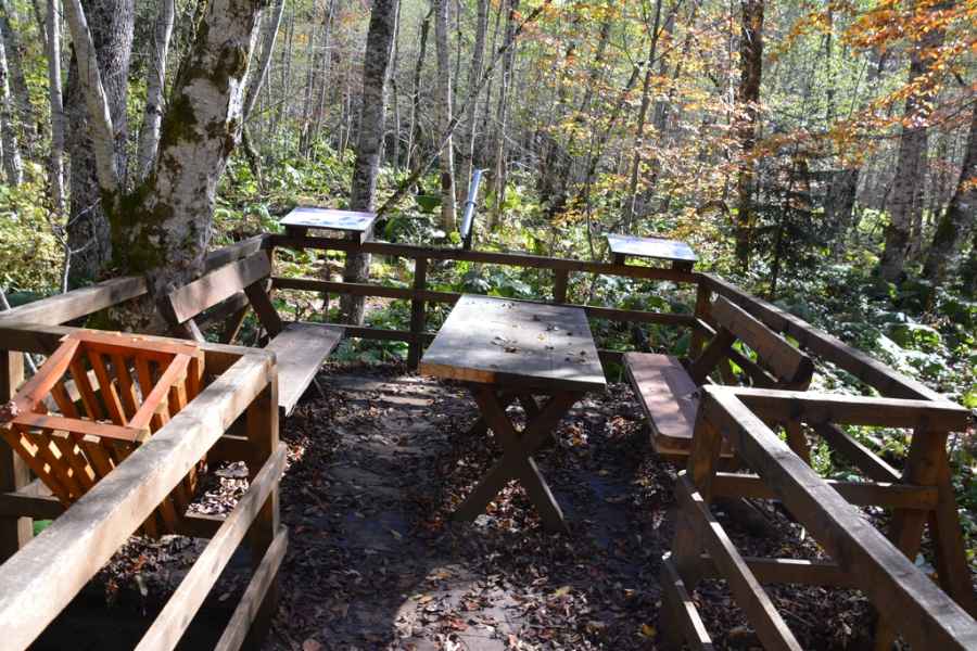 m wathching birds in Biogradska River JPG