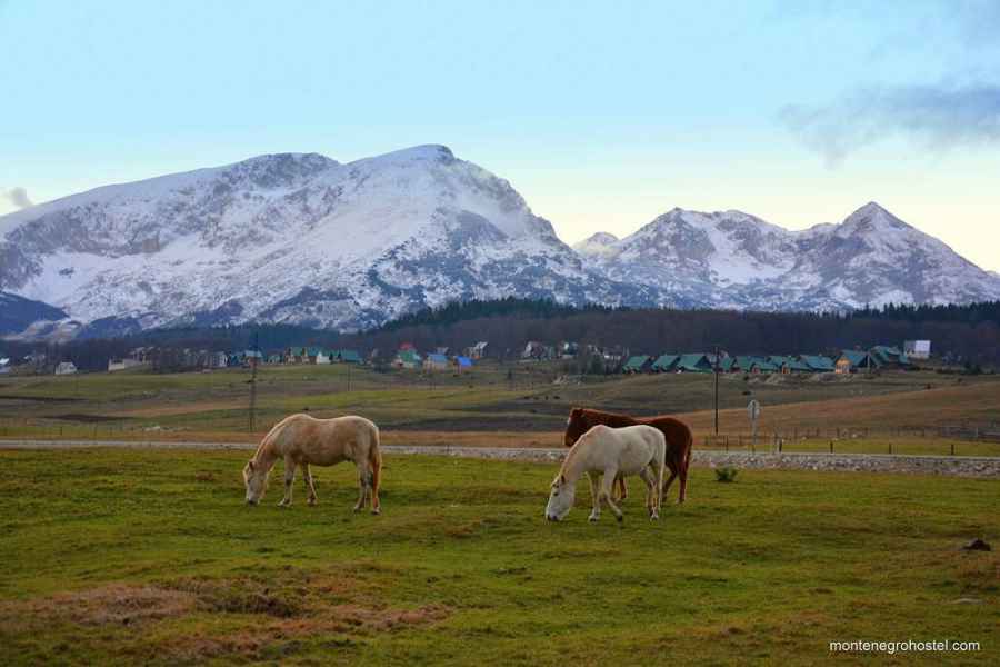 Durmitor plateau 