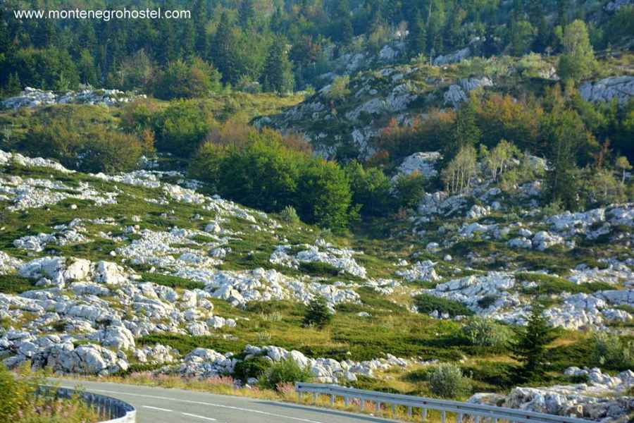 Durmitor plateau 