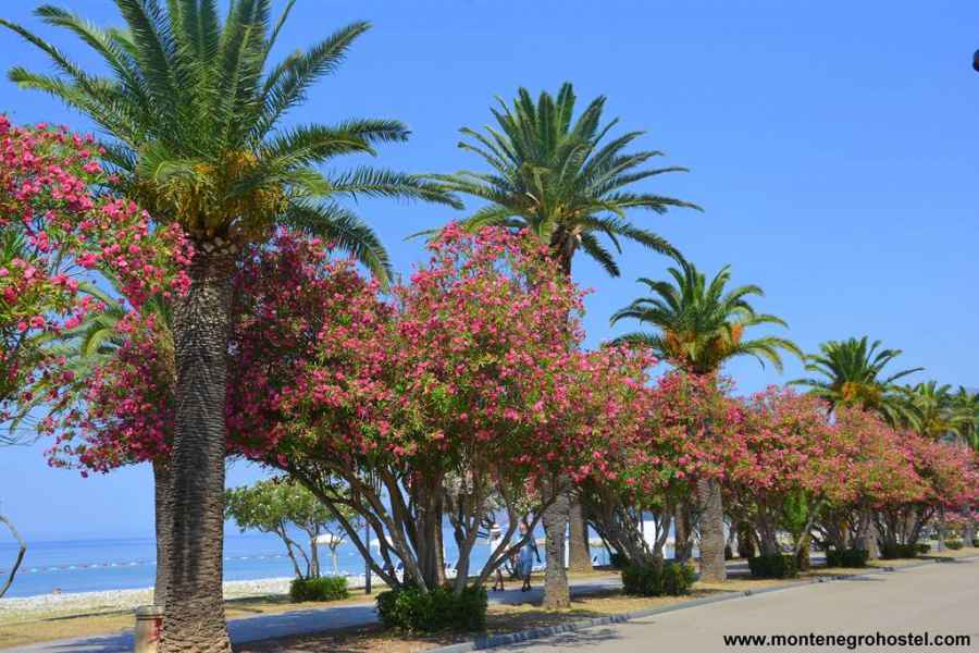 Promenade in the Port of Bar