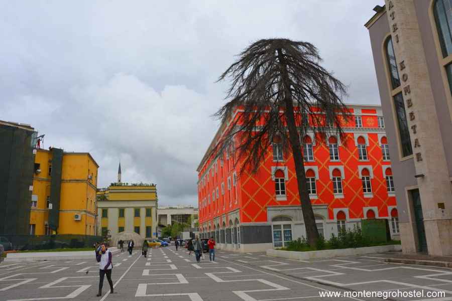 Ministry of Agriculture