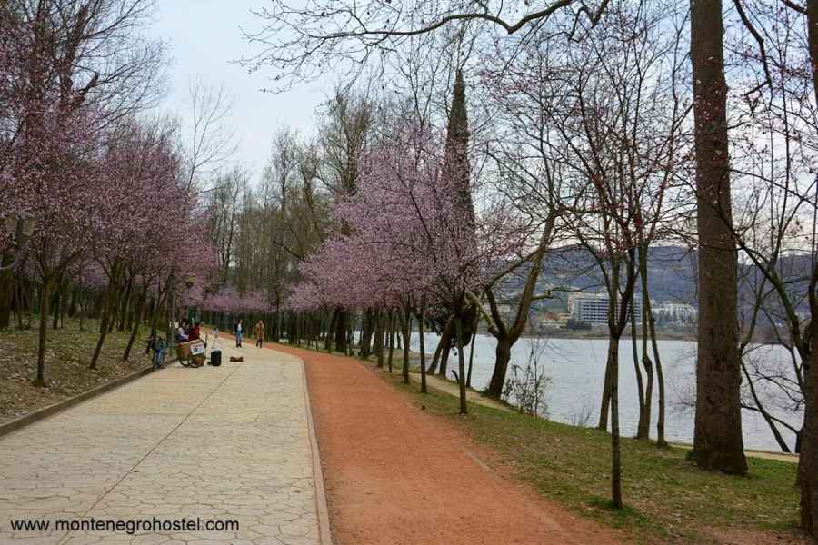 Grand Park of Tirana